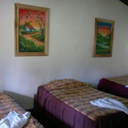 Hostel Villa Verde Monteverde Eksteriør billede