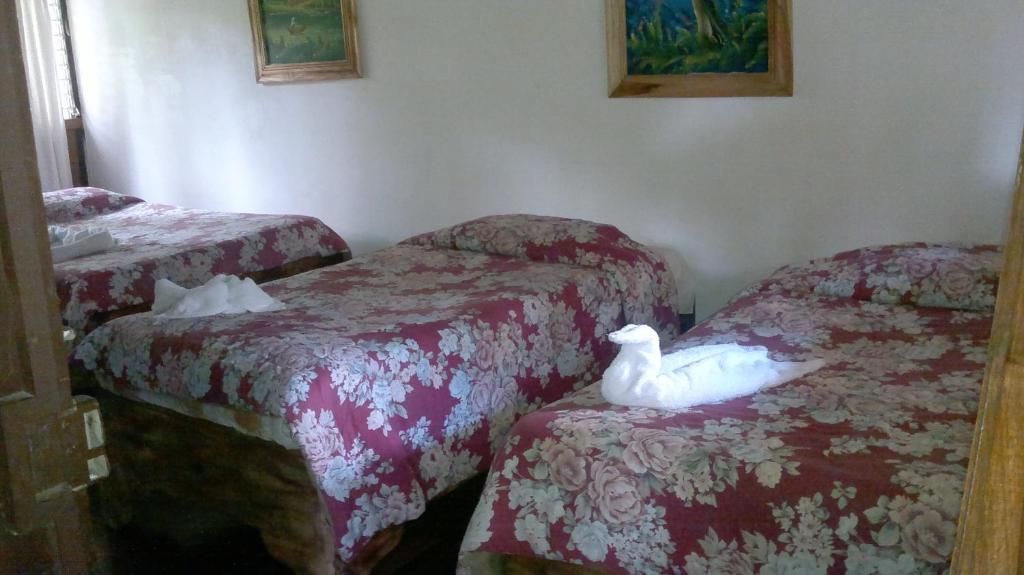 Hostel Villa Verde Monteverde Eksteriør billede