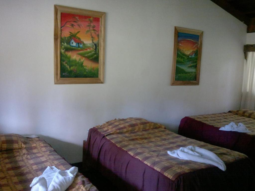 Hostel Villa Verde Monteverde Eksteriør billede