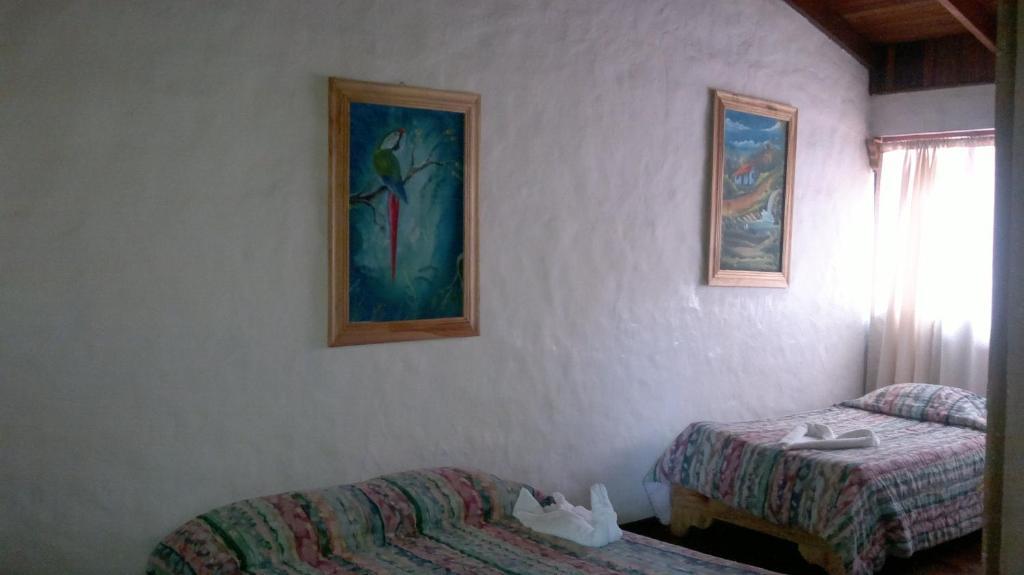 Hostel Villa Verde Monteverde Eksteriør billede