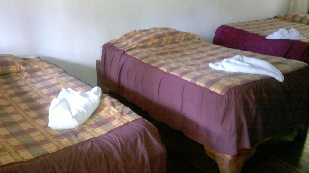 Hostel Villa Verde Monteverde Eksteriør billede