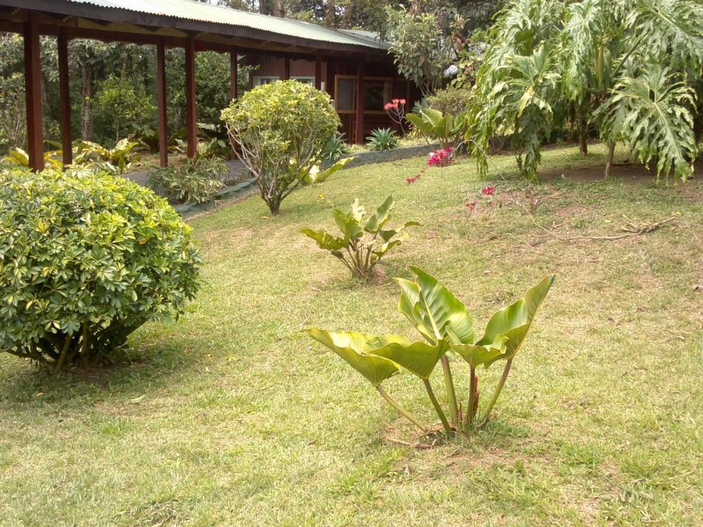Hostel Villa Verde Monteverde Eksteriør billede