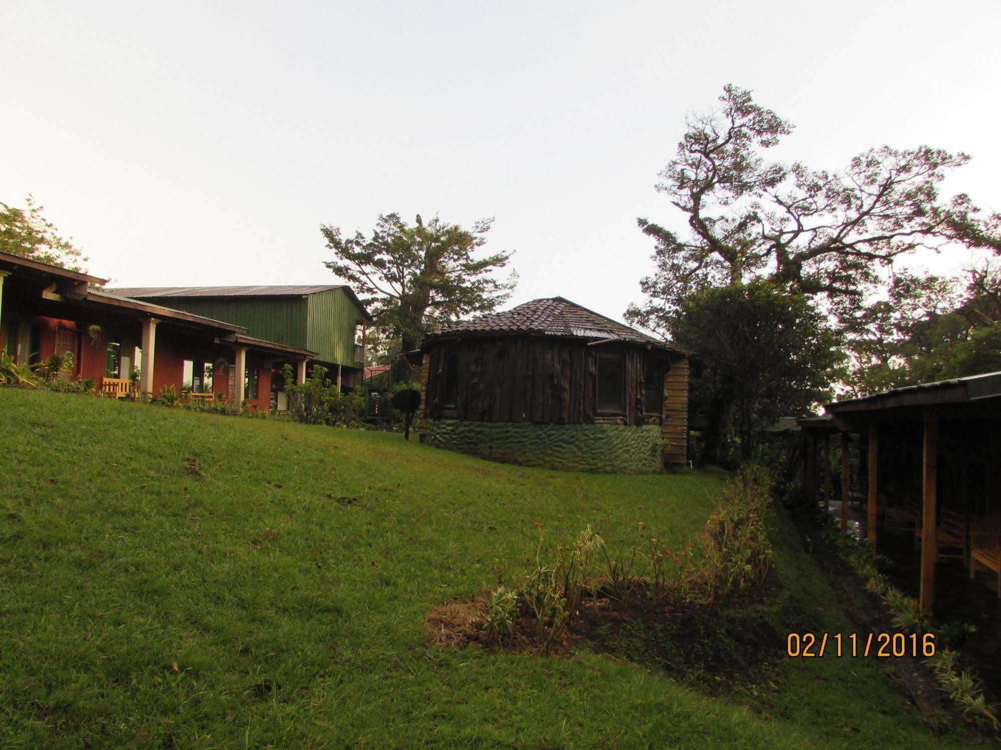 Hostel Villa Verde Monteverde Eksteriør billede
